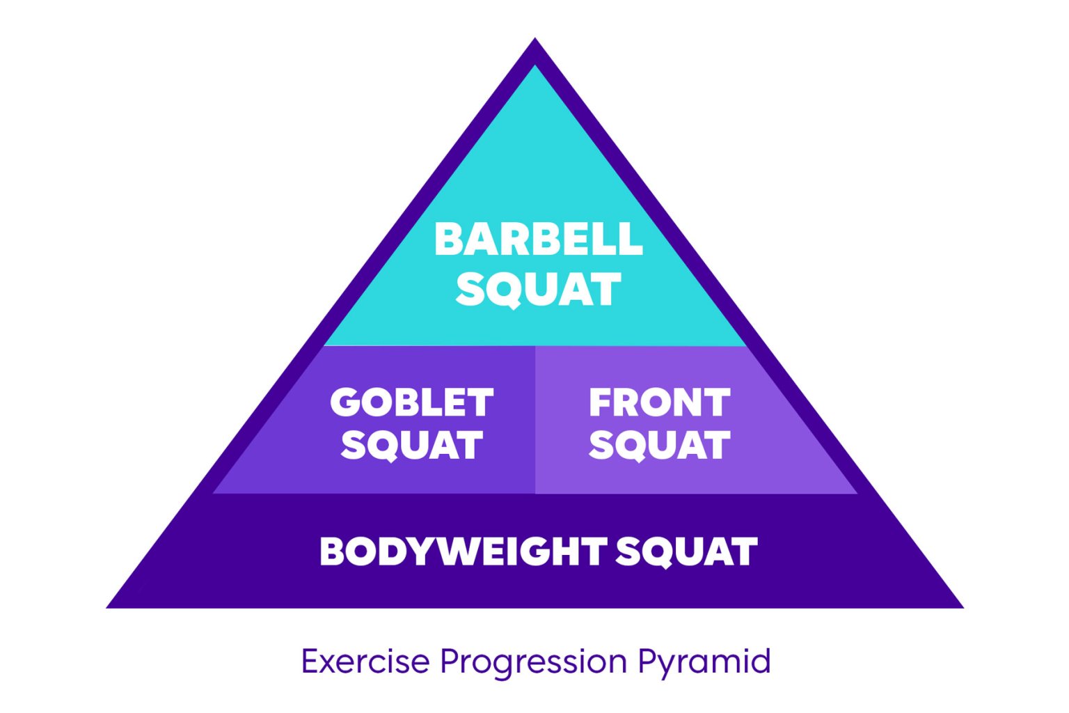 A Coachs Guide To Barbell Squats For Beginners Anytime Fitness