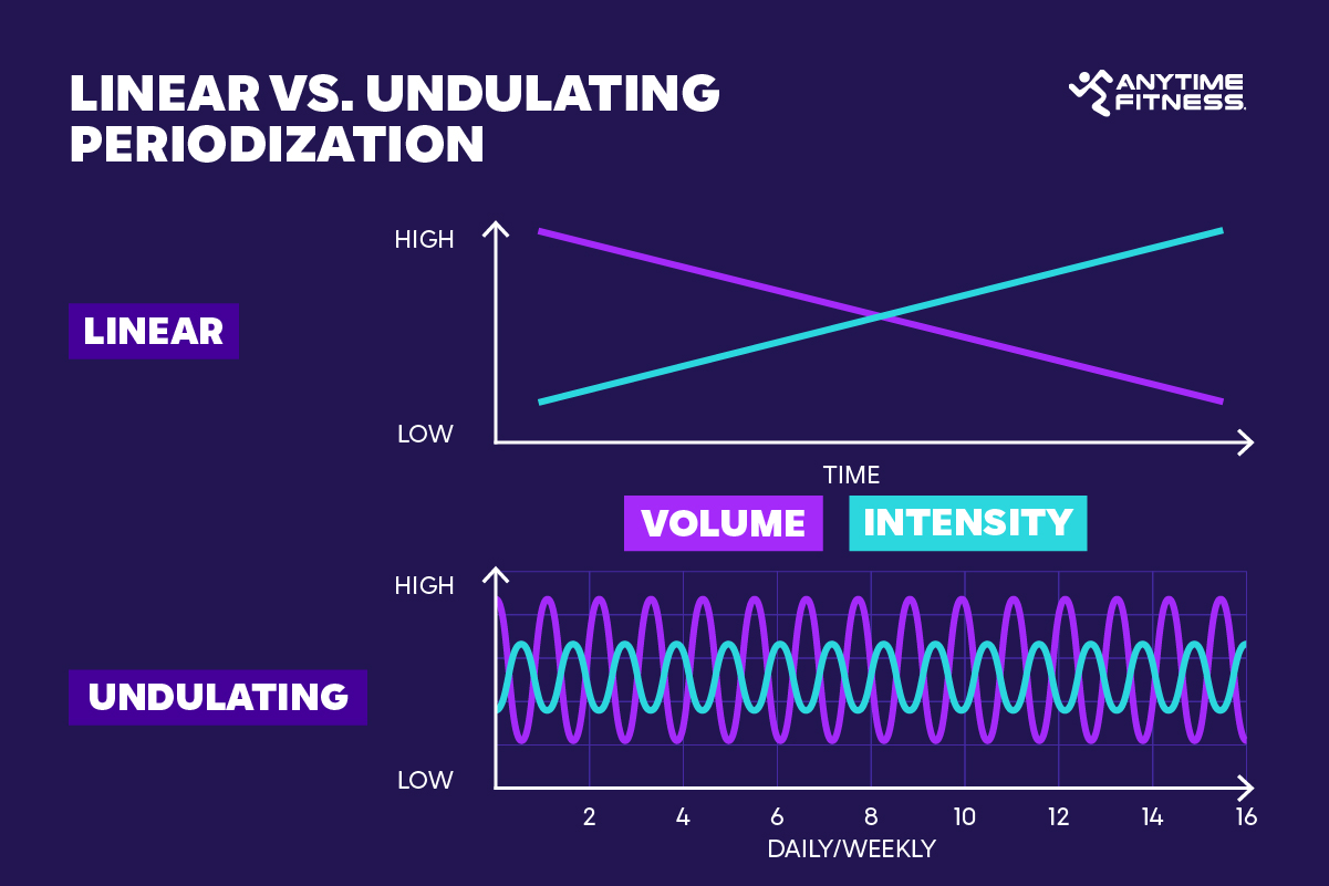 Comparison of linear vs. undulating periodization in strength training, showing the differences in volume and intensity over time. Fitness graph explaining workout planning for muscle gain and endurance.